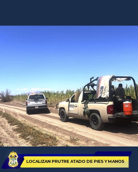 Picture of undefined