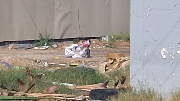 Picture of undefined