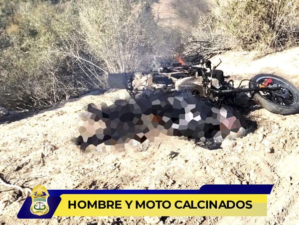 Picture of undefined