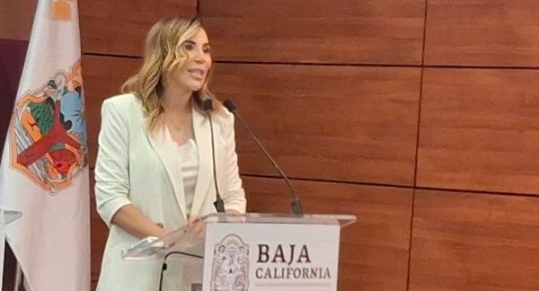 Picture of undefined