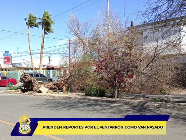 Picture of undefined