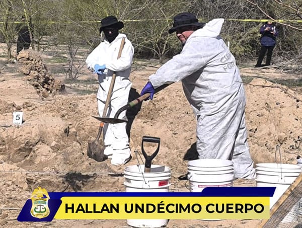 Picture of undefined