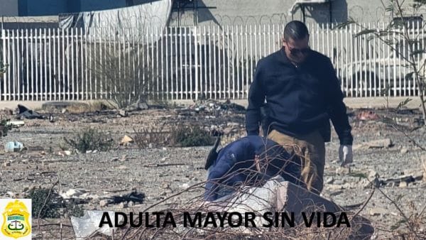 Picture of undefined