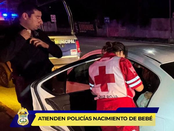 Picture of undefined