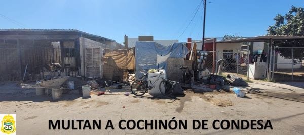 Picture of undefined