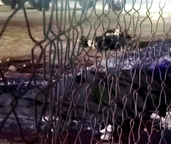 Picture of undefined