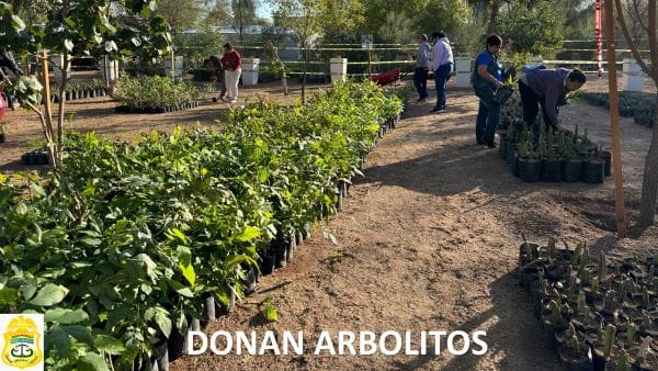 Picture of undefined