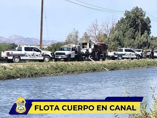 Picture of undefined