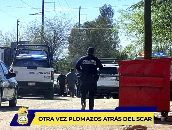 Picture of undefined