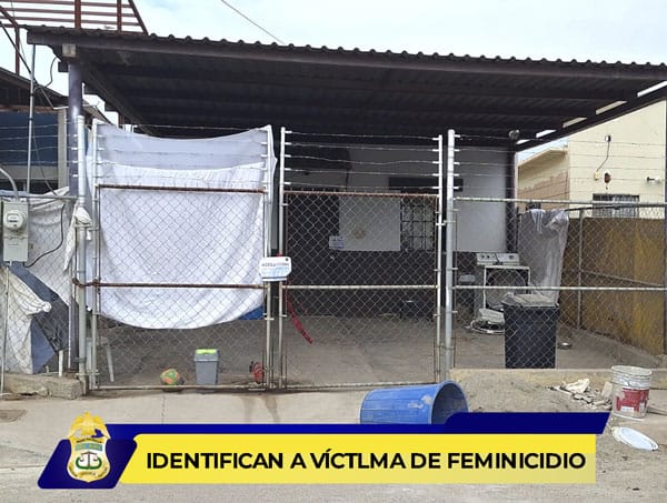 Picture of undefined