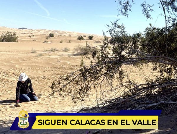 Picture of undefined