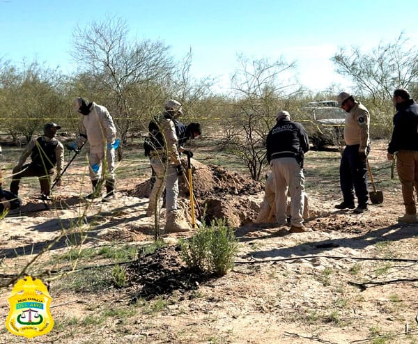 Picture of undefined