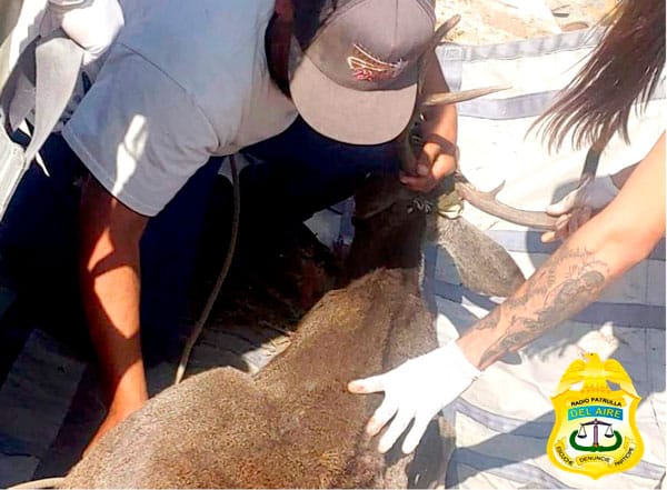 Picture of undefined