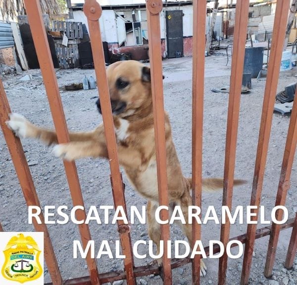 Picture of undefined