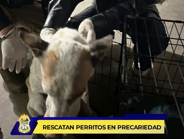 Picture of undefined