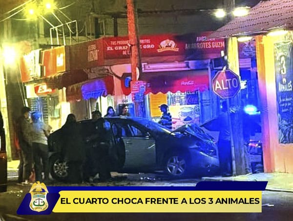 Picture of undefined