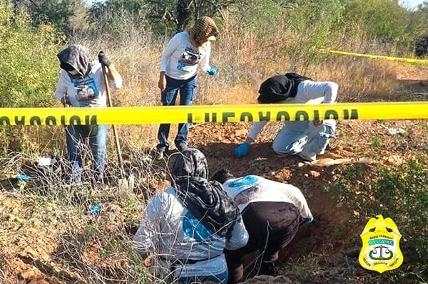 Picture of undefined