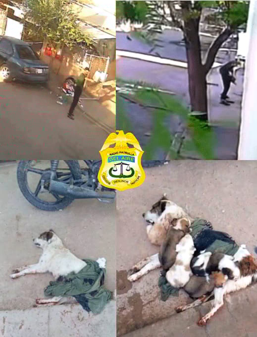 Picture of undefined