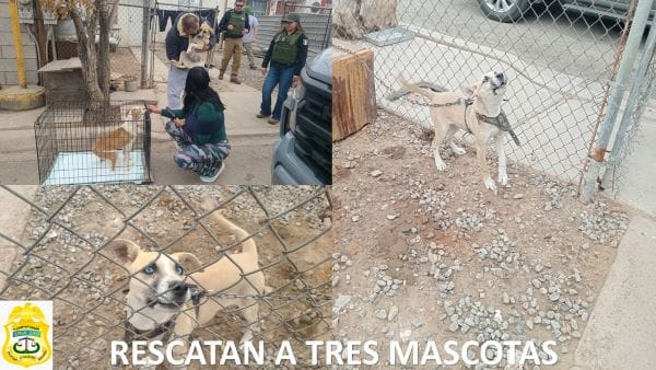 Picture of undefined