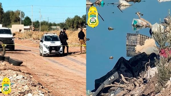 Picture of undefined