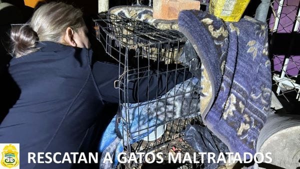 Picture of undefined