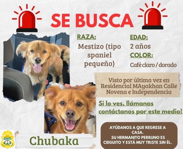 Picture of undefined