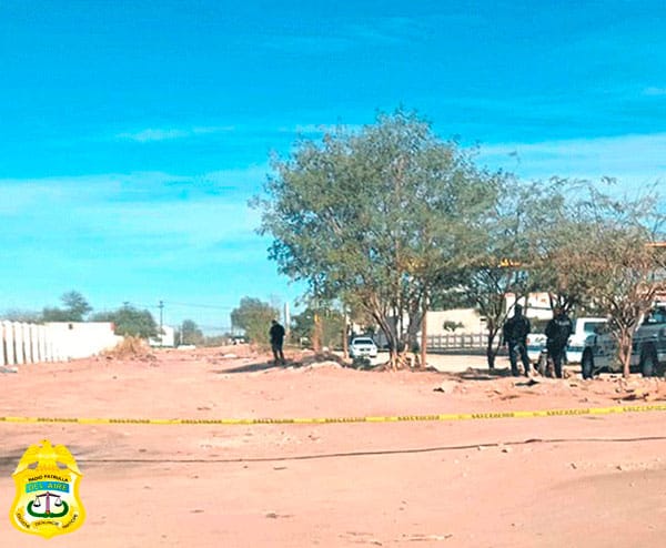 Picture of undefined