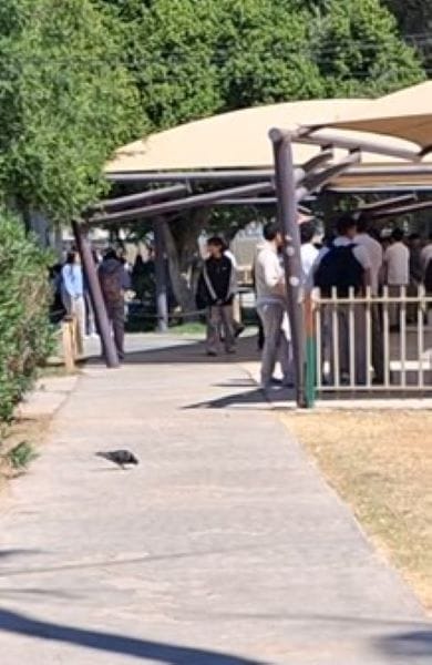 Picture of undefined