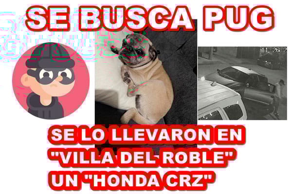 Picture of undefined