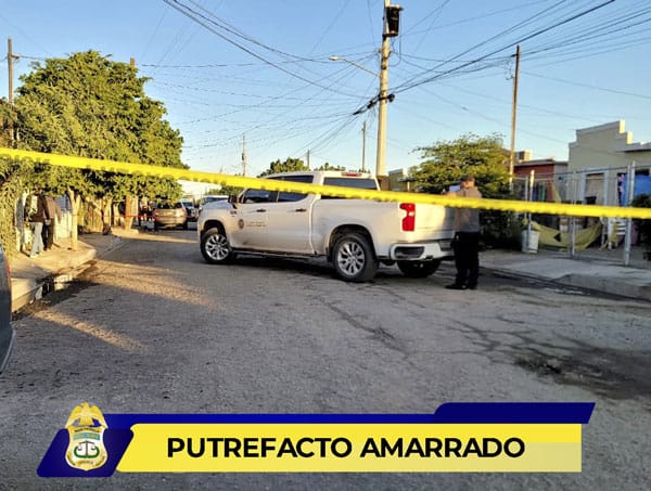 Picture of undefined