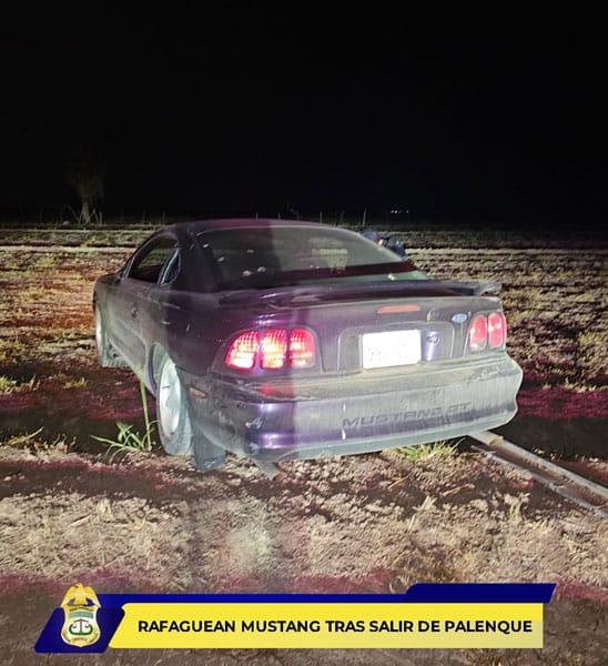 Picture of undefined