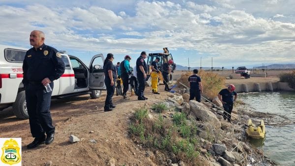 Picture of undefined