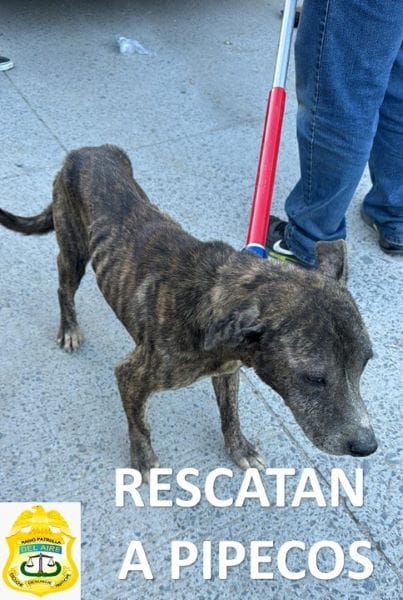 Picture of undefined