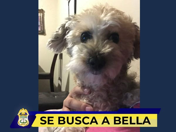 Picture of undefined