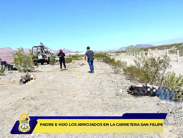 Picture of undefined