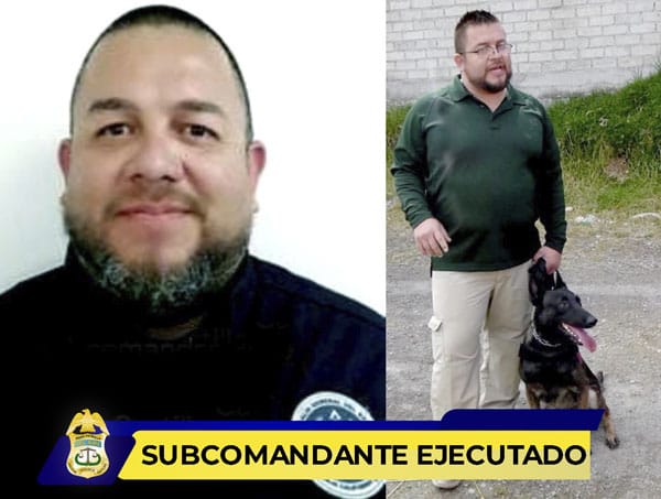 Picture of undefined