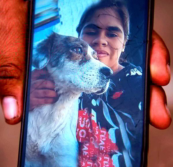 Picture of undefined