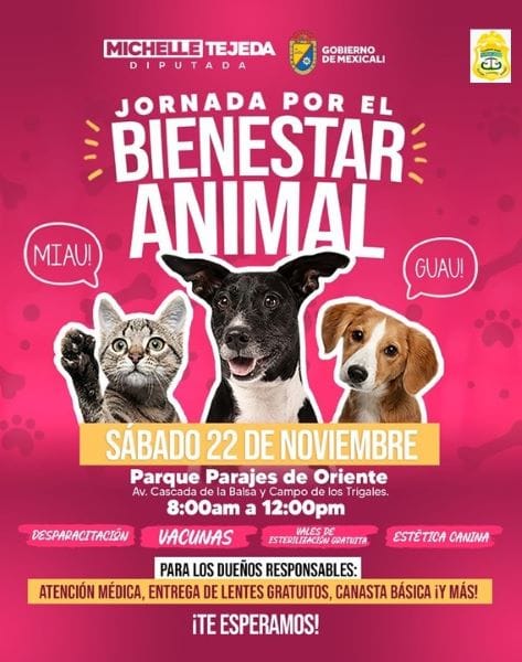 Picture of undefined